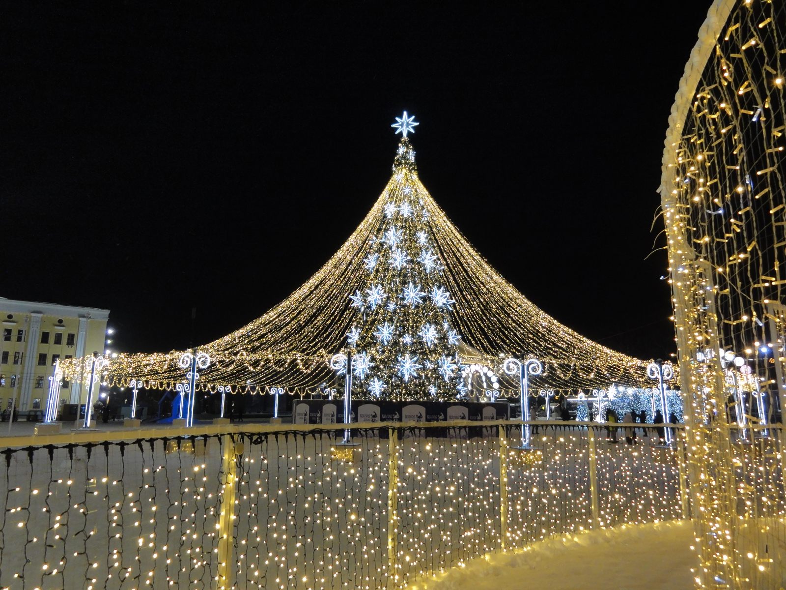 На Театральной площади установлена главная новогодняя ёлка