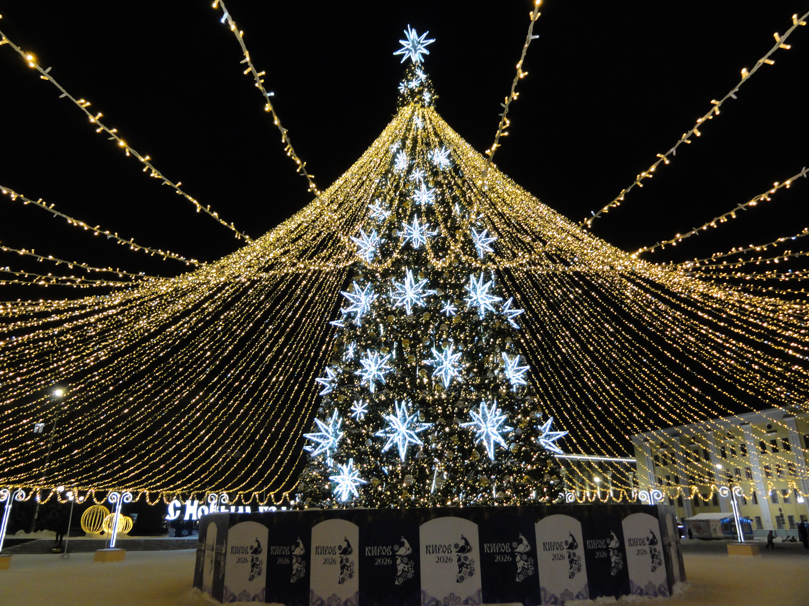 В Кирове установили главную новогоднюю ёлку города на Театральной площади