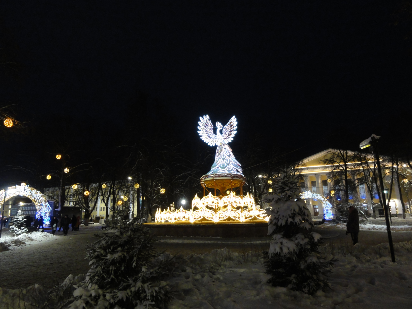 Кировская центральная городская ёлка установлена в декабре 2025 года