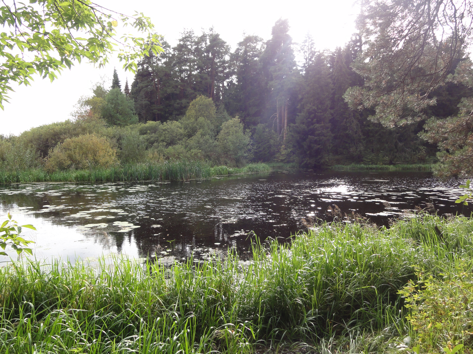 Кировский Заречный парк