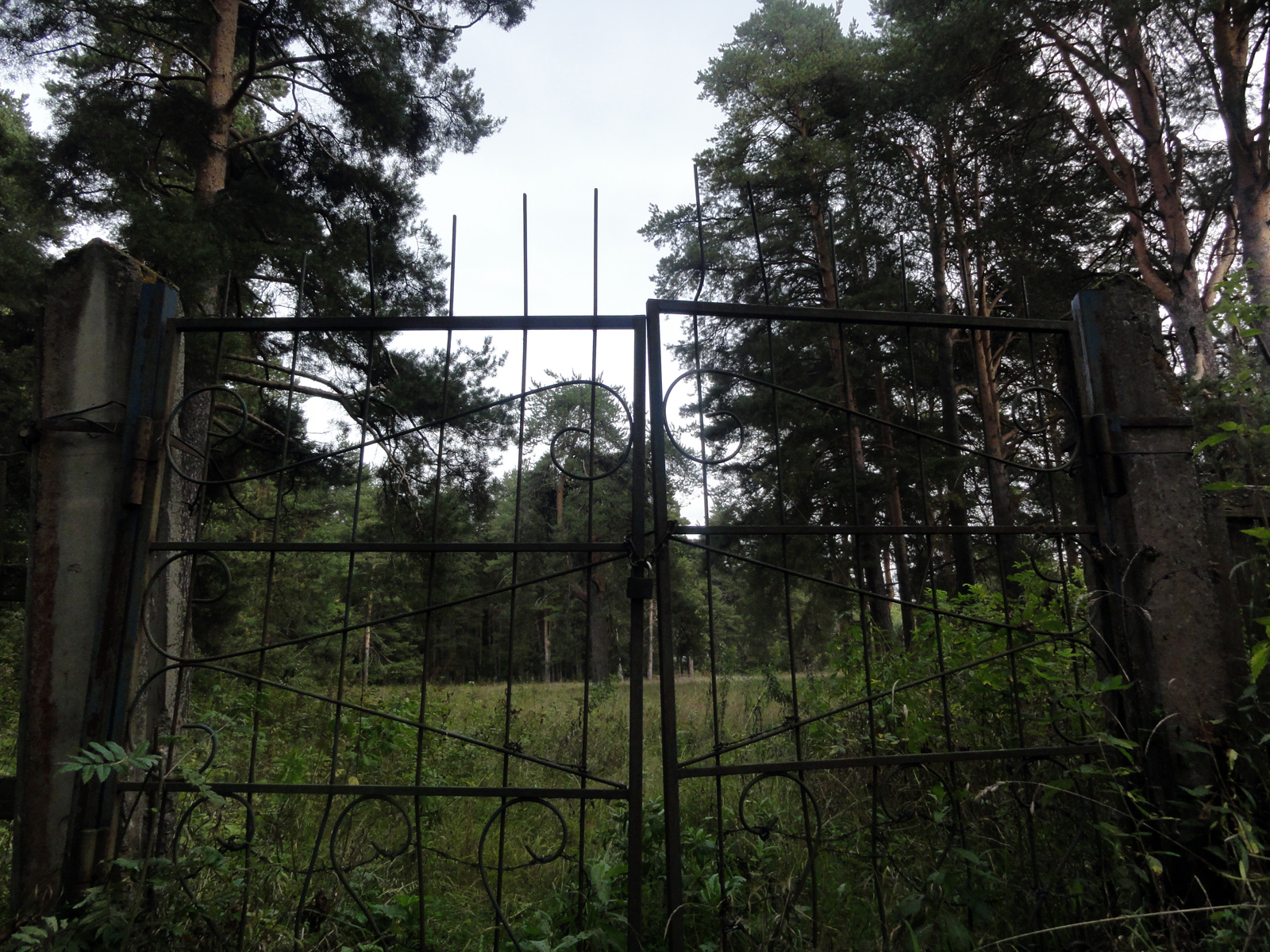 Кировский Заречный парк экотропа редкие растения птицы и животные