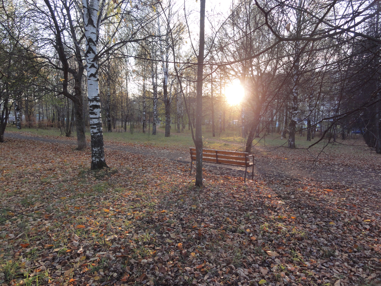 Кировский парк Дворца пионеров