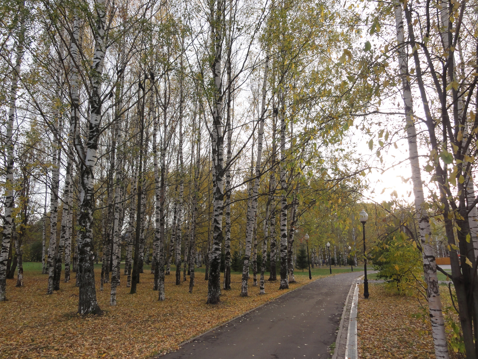 Октябрь в Кочуровском парке город Киров