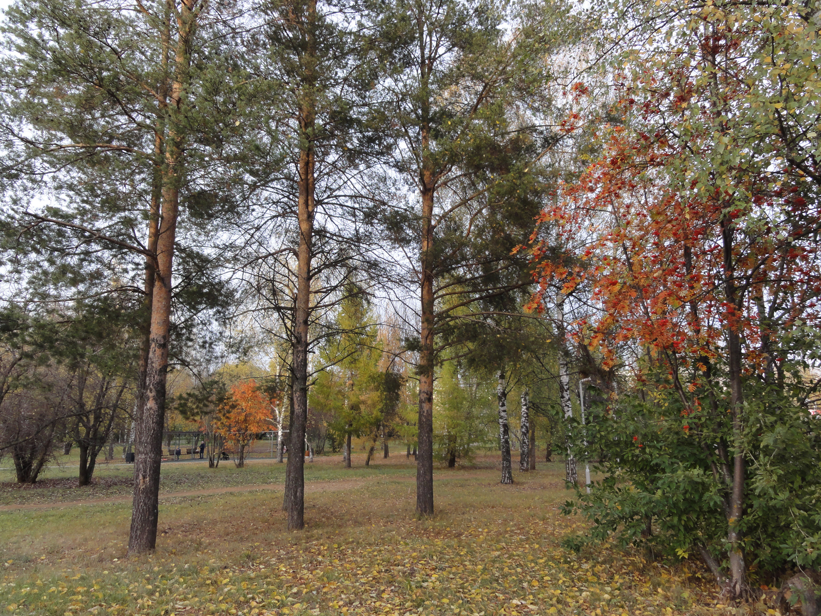 Кочуровский парк в Кирове осенью