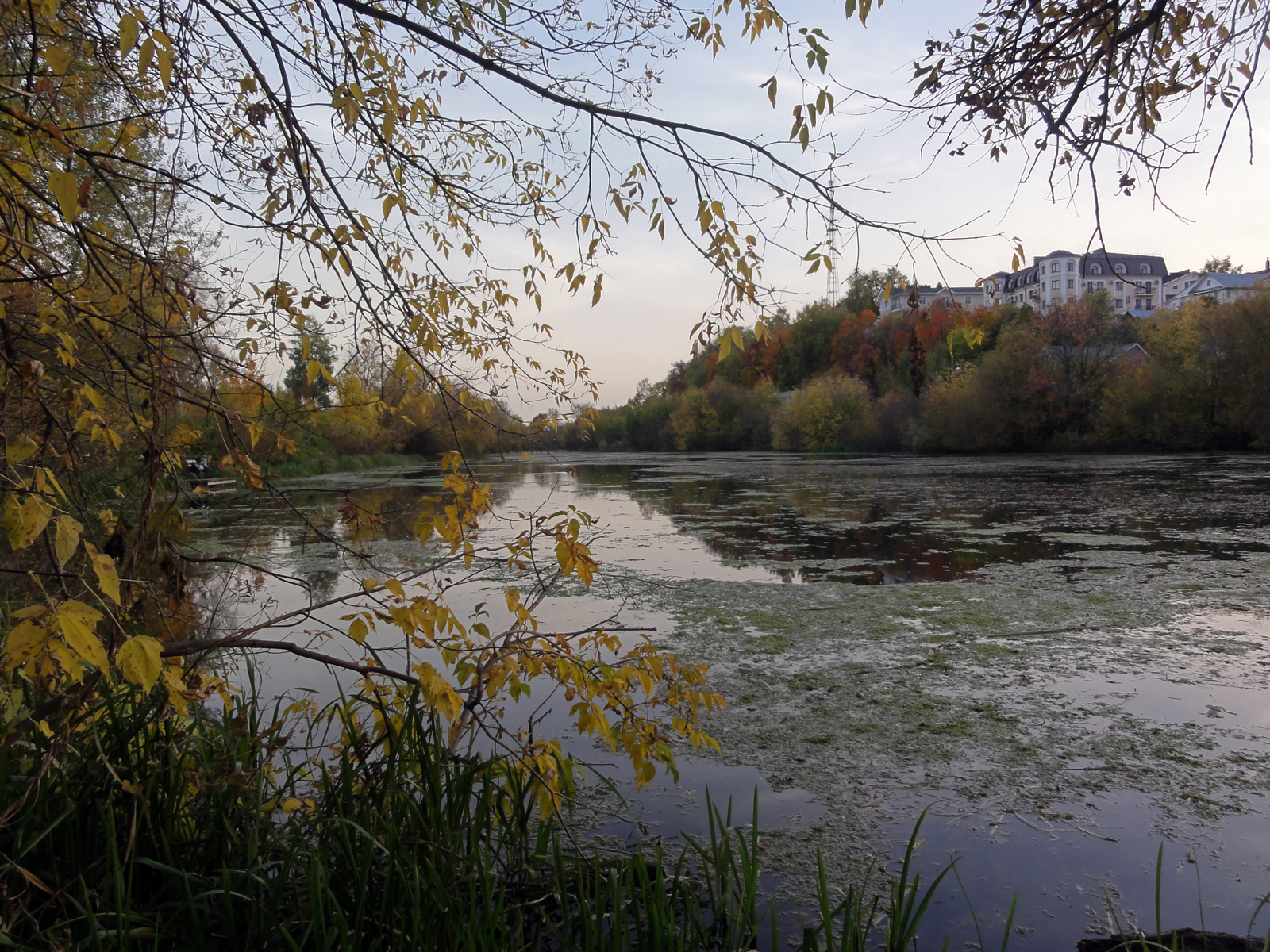 Памятник природы в городе Кирове