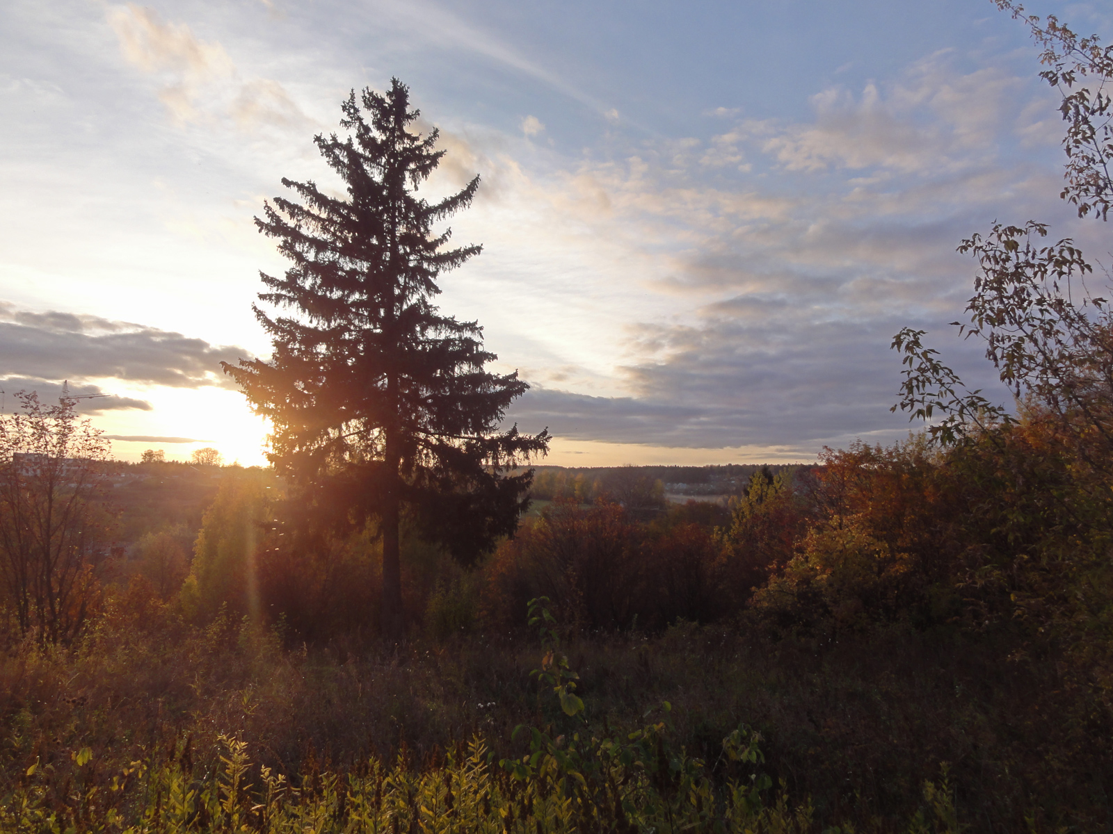 На Филейке в Кирове осенняя природа пейзаж на закате