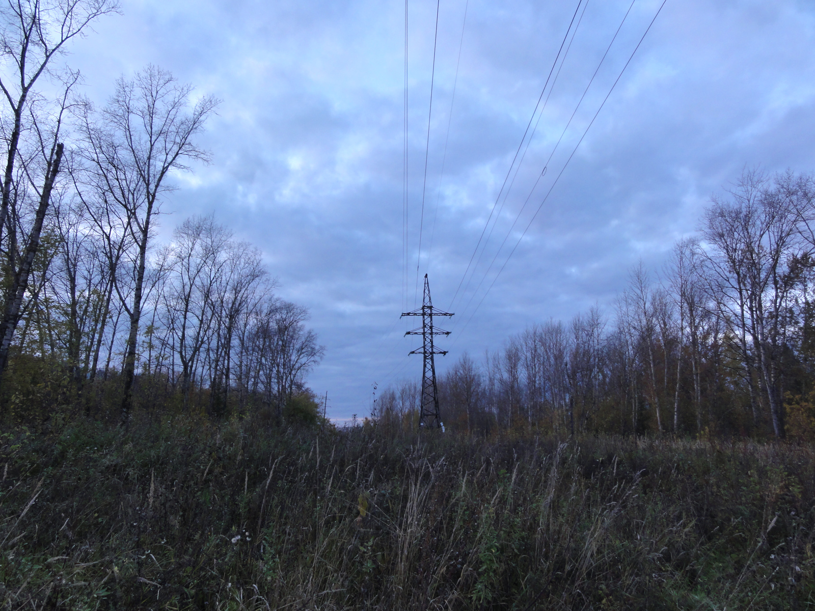 Фото Филейки осенняя фотография пейзаж природа