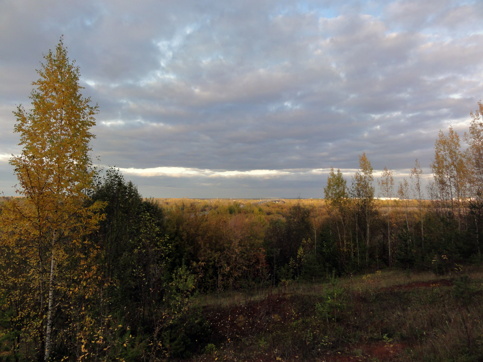 Октябрь в Филейском парке в Кирове осенняя природа