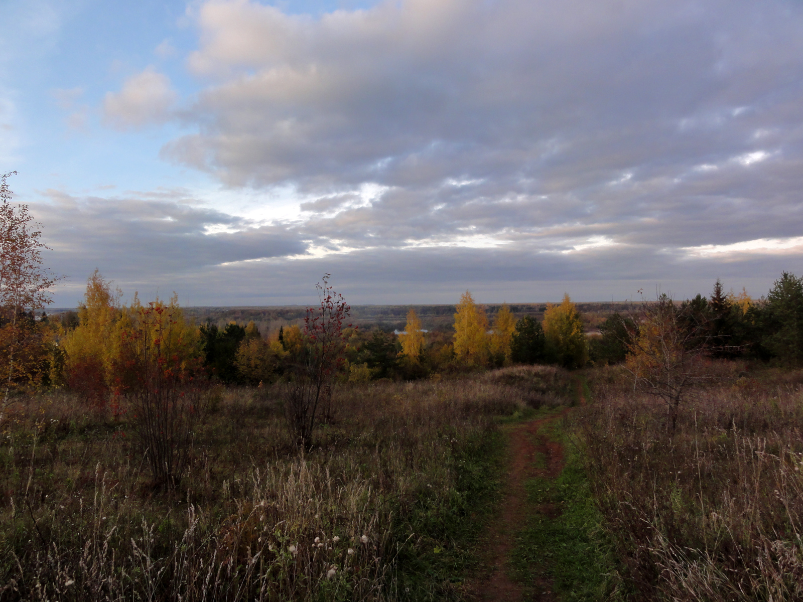 Осеннее фото в Филейском парке кировская осенняя природа