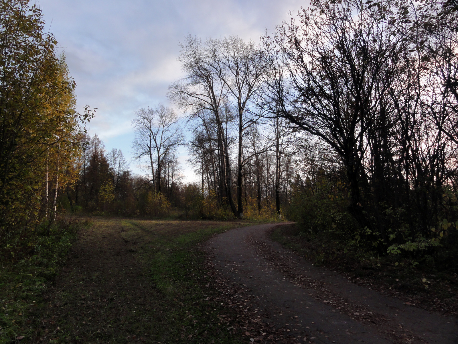 Осенний пейзаж Киров Филейка природа фотографии октябрь