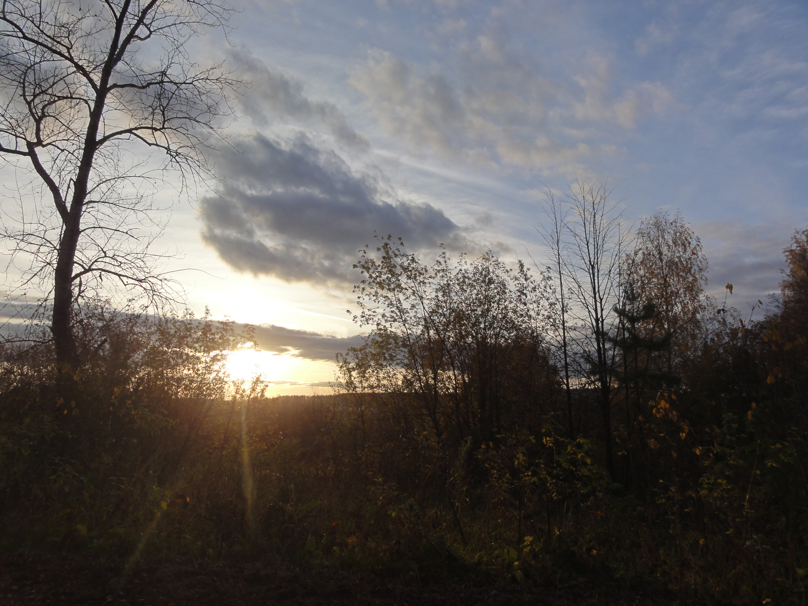 Осенний парк фото Филейка природа октябрь в Кирове