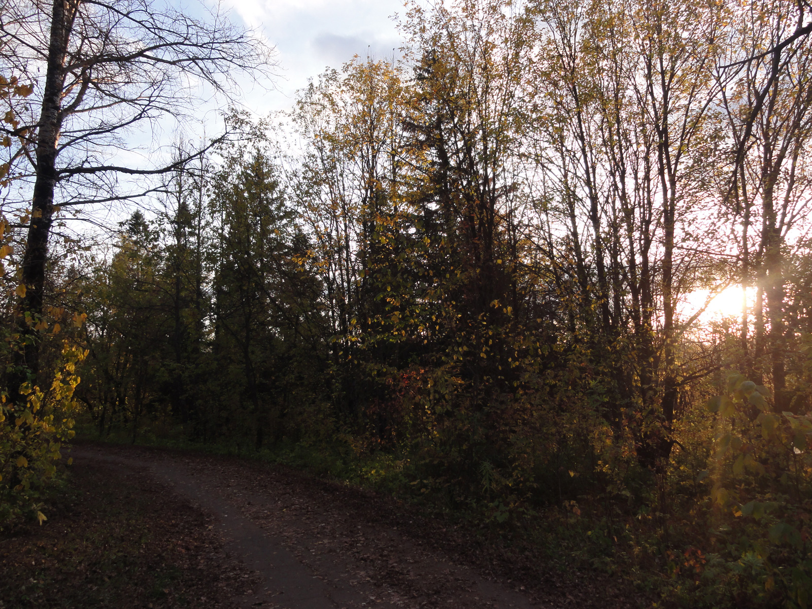 Октябрь природа в парке на Филейке кировский осенний пейзаж