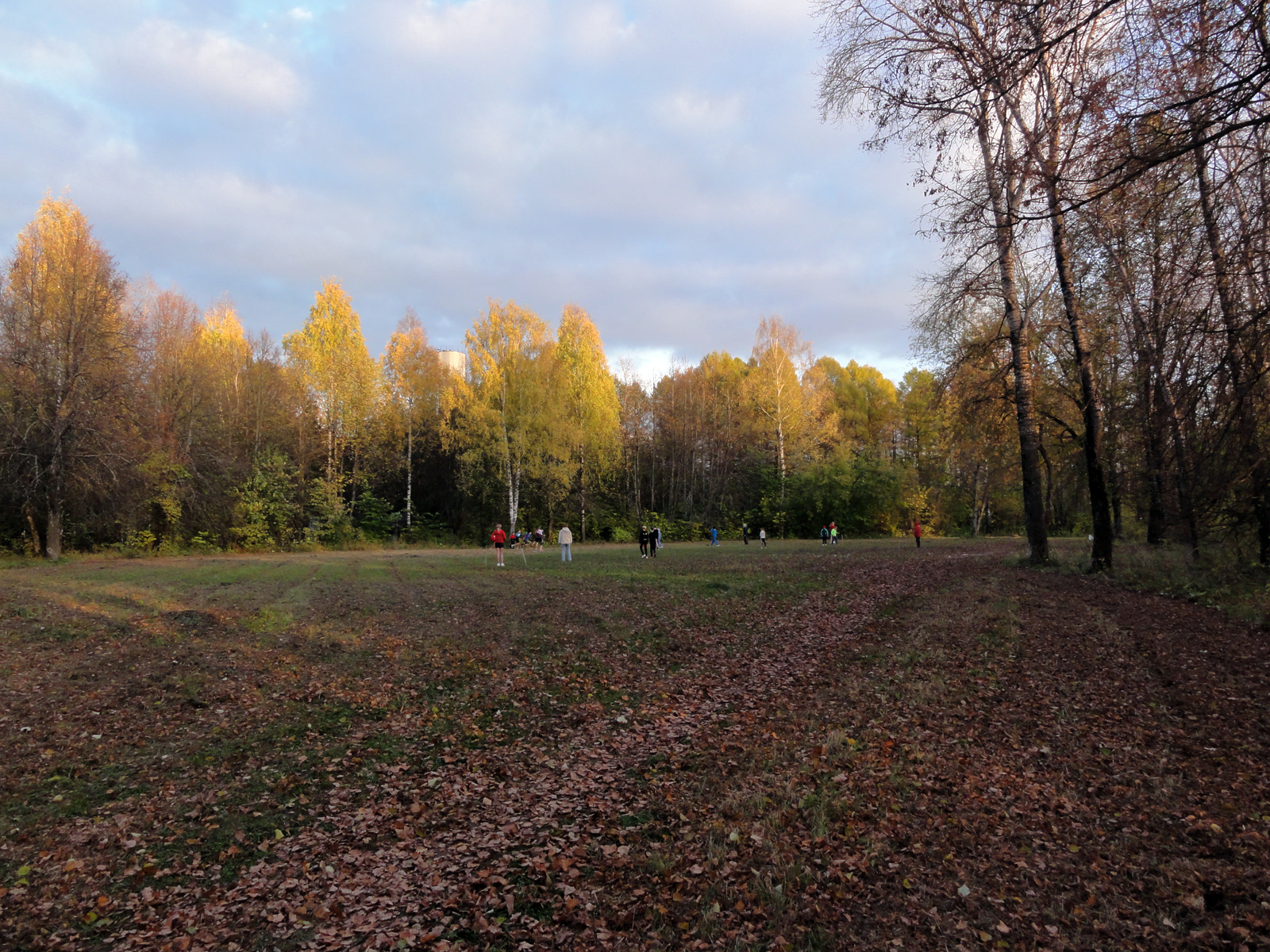 Филейский парк осенний пейзаж деревья осенью на закате