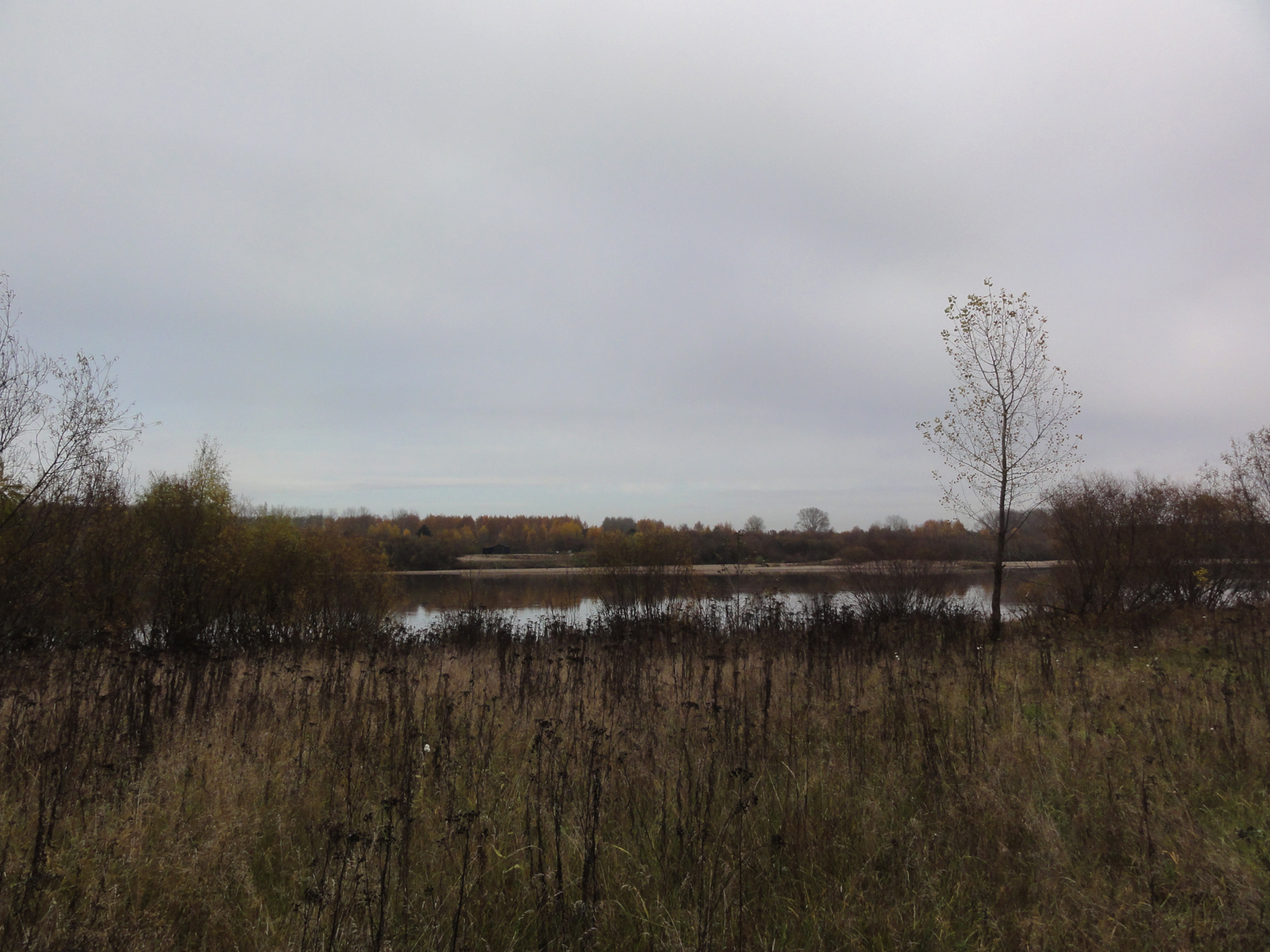 Вид на реку Вятку пейзаж осенний в городе Кирове октябрь 