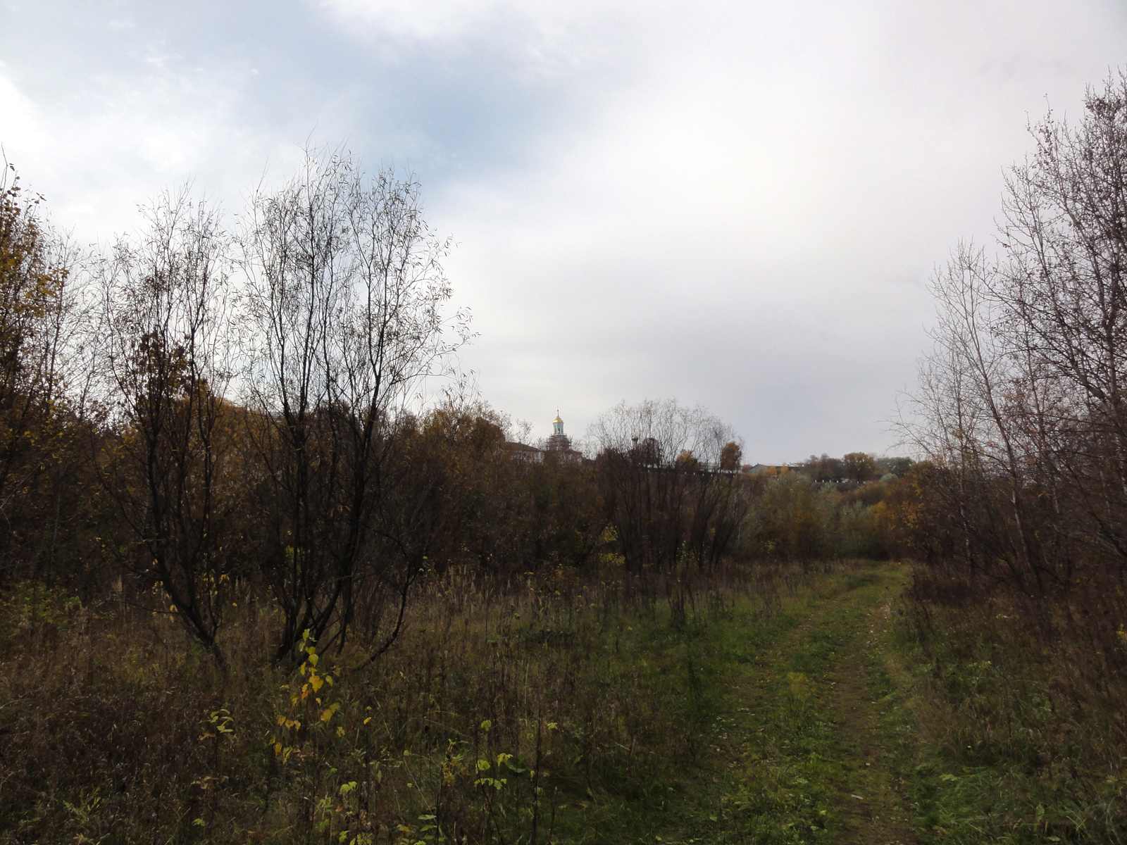 Осеннее солнце берег реки Вятки в городе Кирове деревья трава дорога
