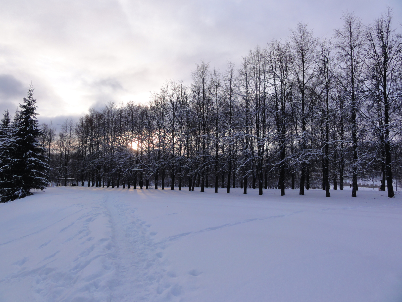 Парк имени Кирова городской центральный парк аллея в Кирове