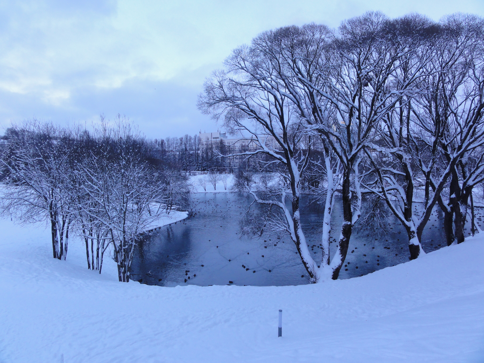 Пруд городского парка в Кирове фотографии зимние снег природа в городе