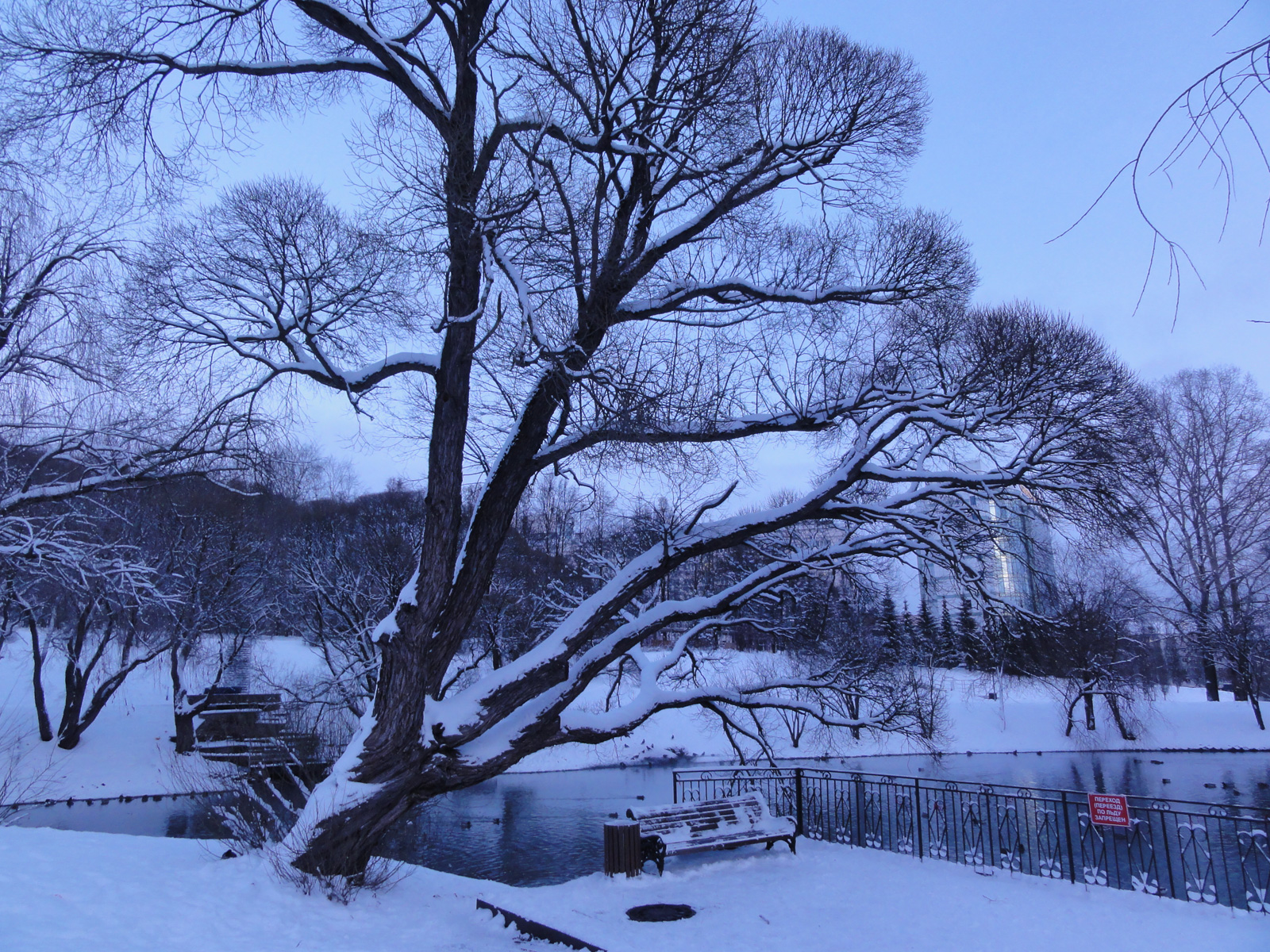 Кировский центральный парк зимние фото виды парка Кирова