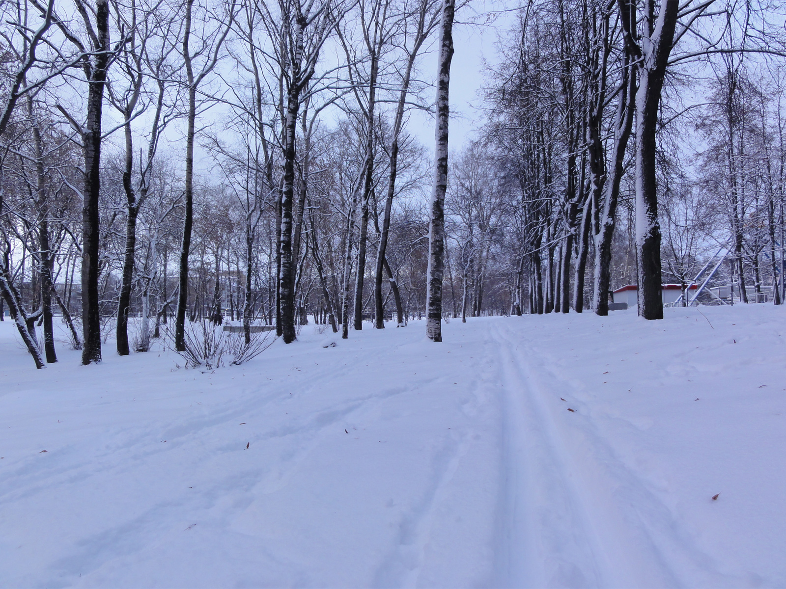 Кировский центральный городской парк зимние виды фото Кирова январь зима