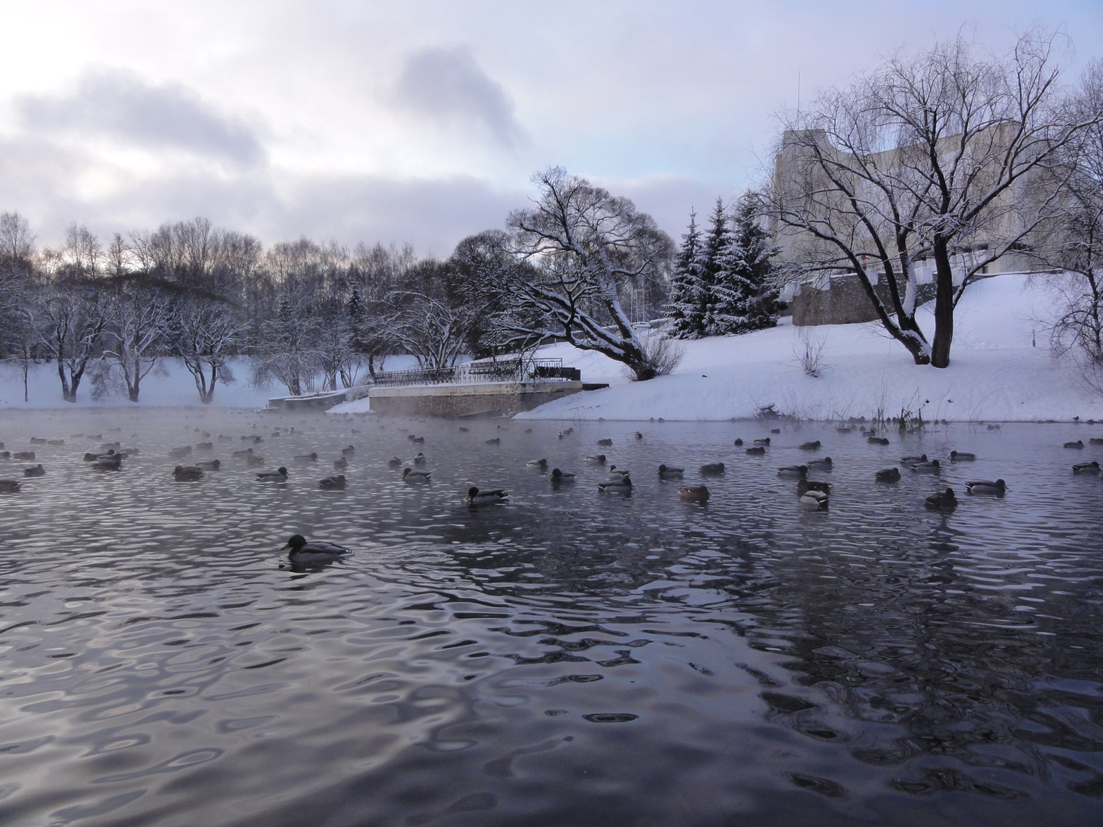 Зима в парке имени С. М. Кирова