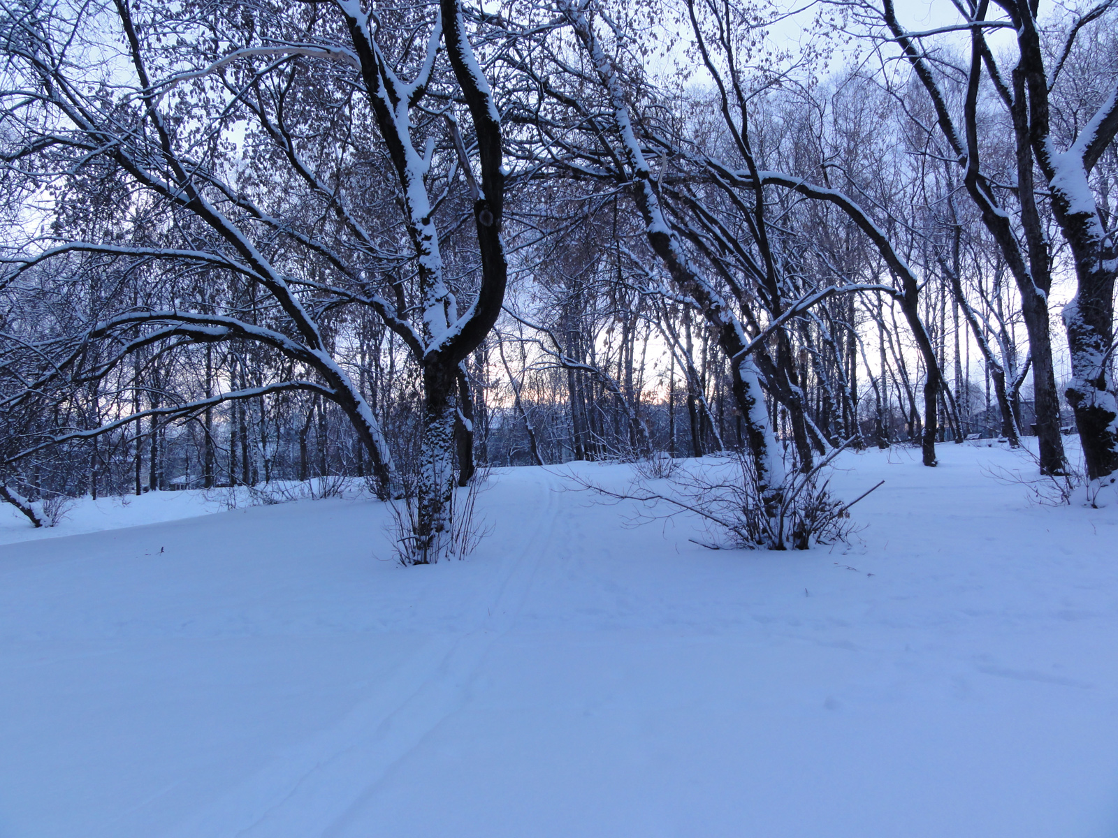 Кировские фотографии зимний парк в городе фото центрального кировского парка