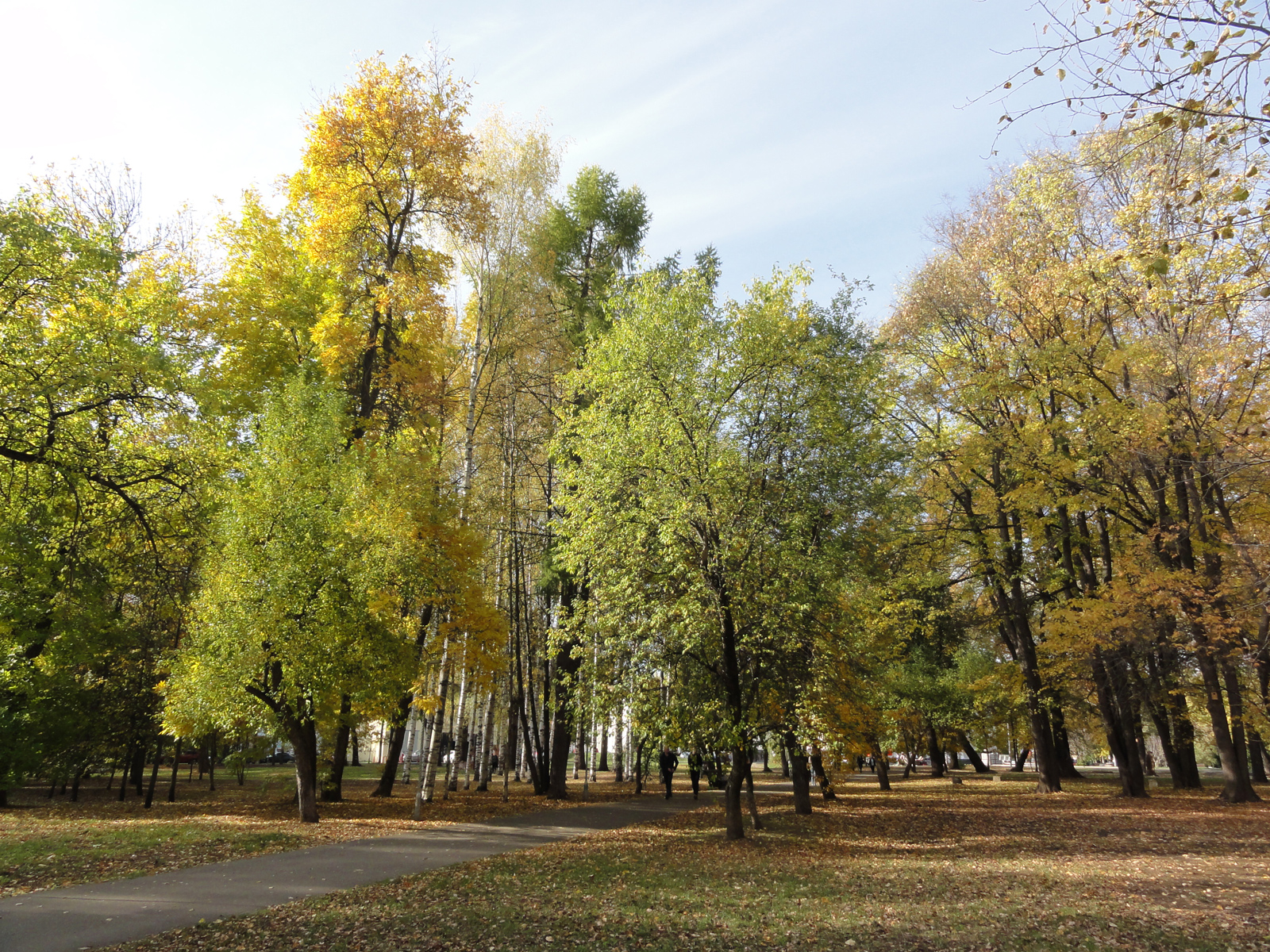 Парк Гагарина в Кирове осенние фото