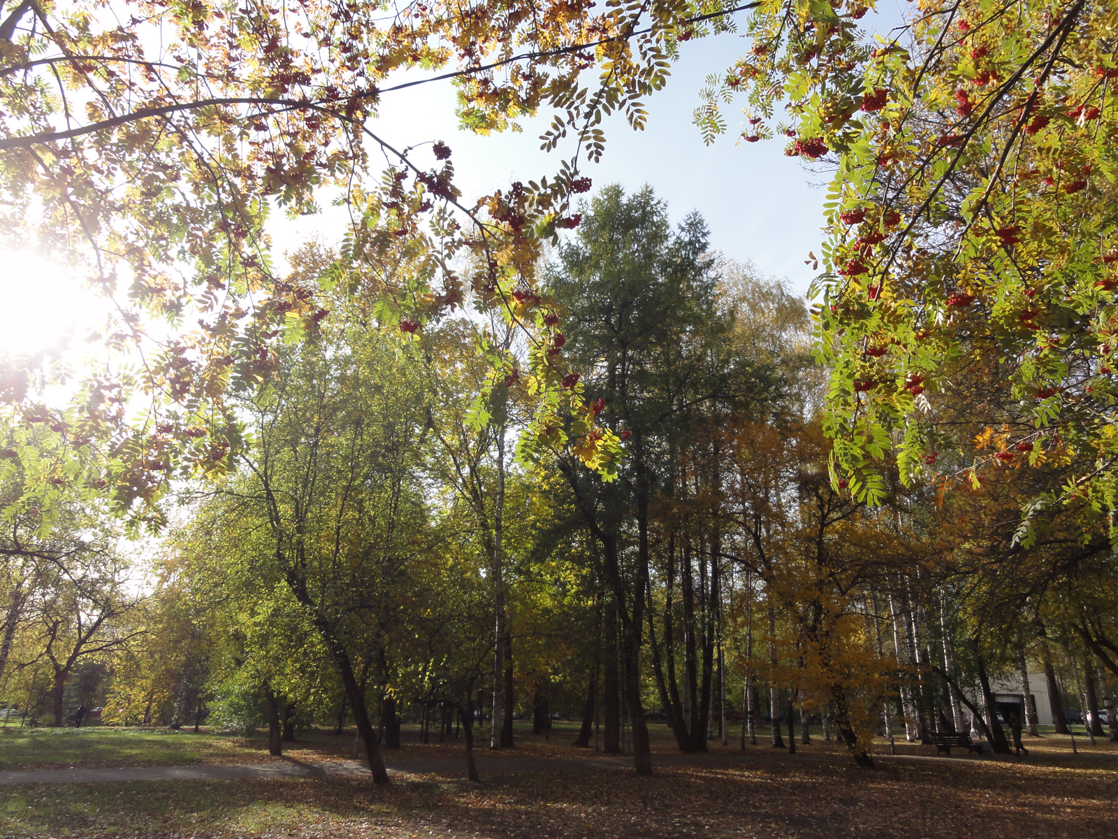 Осенний парк имени Гагарина в Кирове